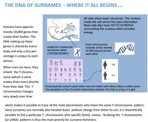 dna and surnames